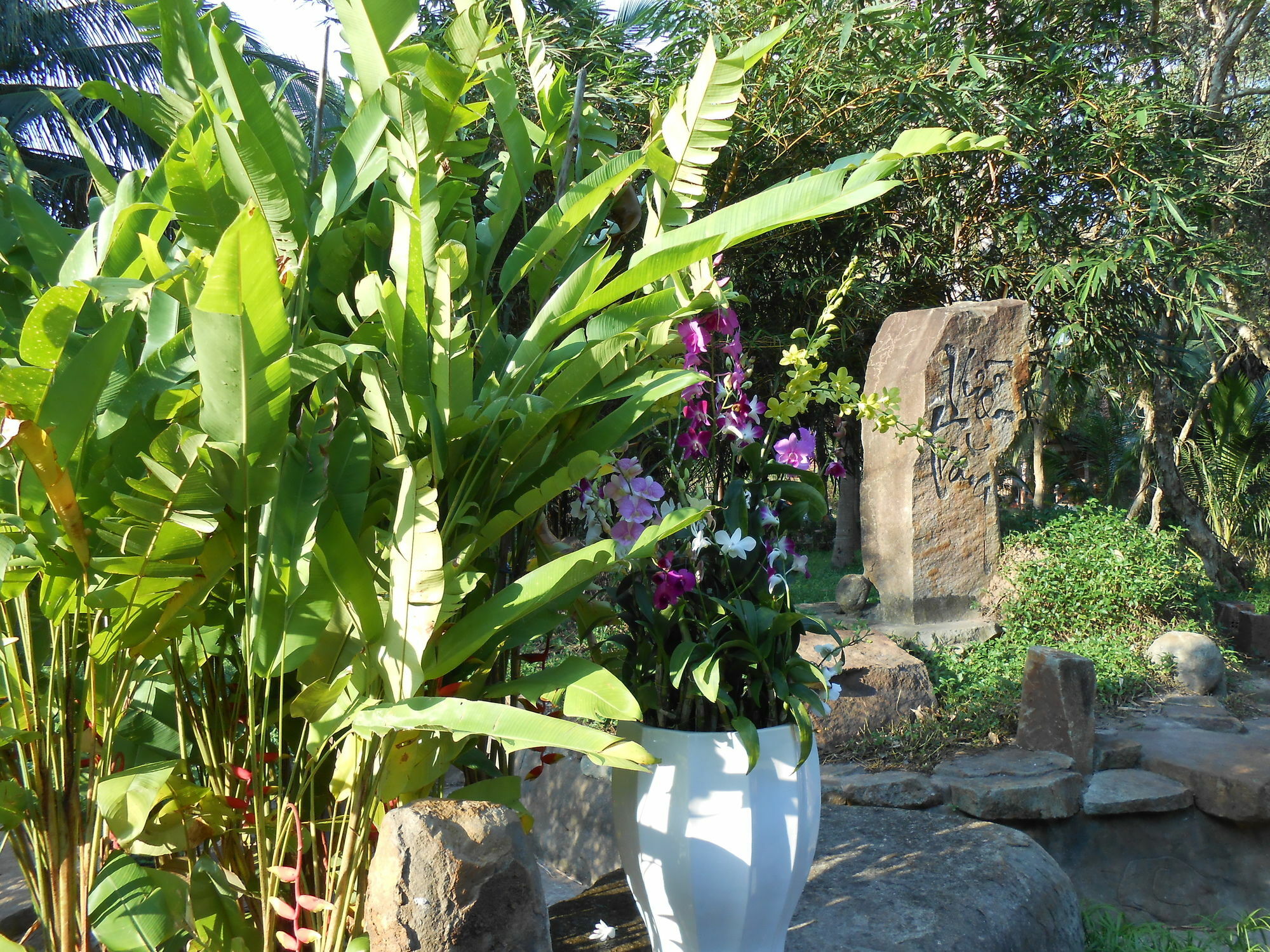 Minera Hot Springs Binh Chau Hotel Exterior photo